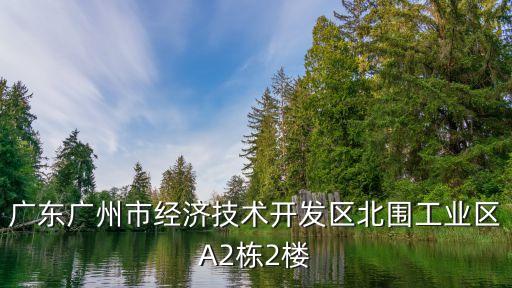 廣東廣州市經濟技術開發區北圍工業區A2棟2樓