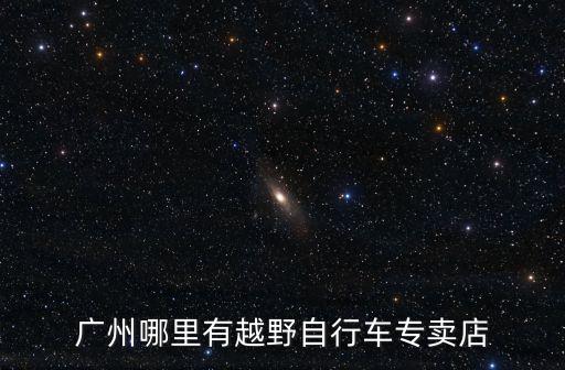 廣州哪里有越野自行車專賣店