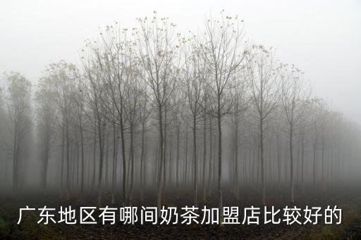 廣東地區(qū)有哪間奶茶加盟店比較好的