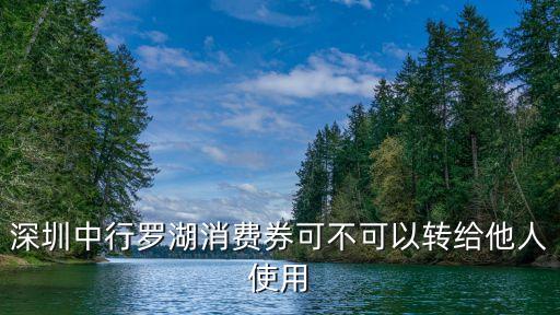 深圳中行羅湖消費(fèi)券可不可以轉(zhuǎn)給他人使用