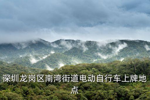 深圳龍崗區南灣街道電動自行車上牌地點