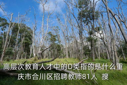 高層次教育人才中的D類指的是什么重慶市合川區招聘教師81人  搜