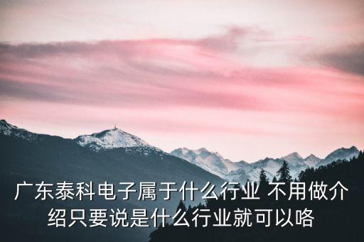 廣東泰科電子屬于什么行業(yè) 不用做介紹只要說是什么行業(yè)就可以咯