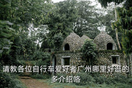 請教各位自行車愛好者廣州哪里好逛的多介紹咯