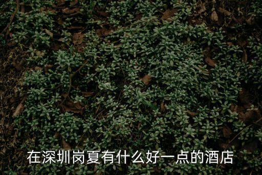深圳崗廈北酒店，這是深圳那個酒店