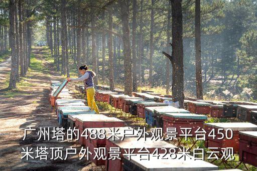 廣州塔的488米戶外觀景平臺450米塔頂戶外觀景平臺428米白云觀