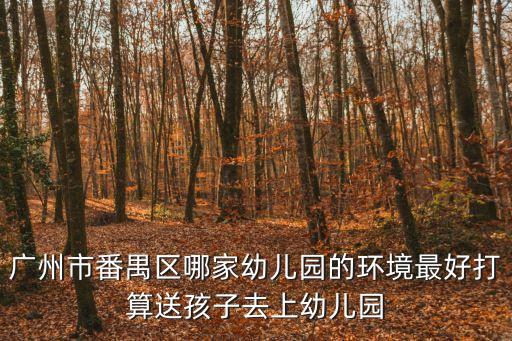 廣州市番禺區哪家幼兒園的環境最好打算送孩子去上幼兒園