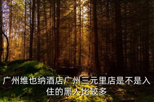 廣州三元里 非洲女，廣州維也納酒店廣州三元里店是不是入住的黑人比較多