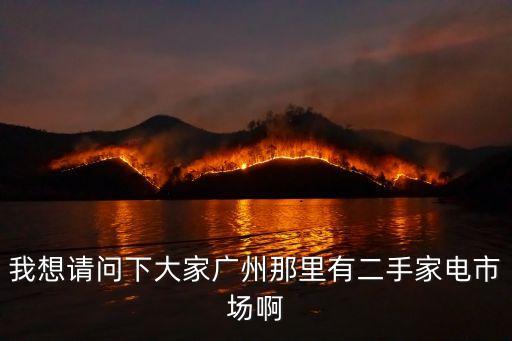 我想請問下大家廣州那里有二手家電市場啊