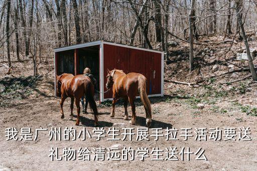 我是廣州的小學生開展手拉手活動要送禮物給清遠的學生送什么