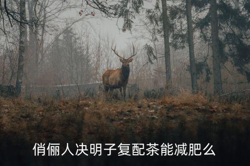 廣州俏儷人減肥，俏儷人決明子復(fù)配茶是真是假真能減肥么
