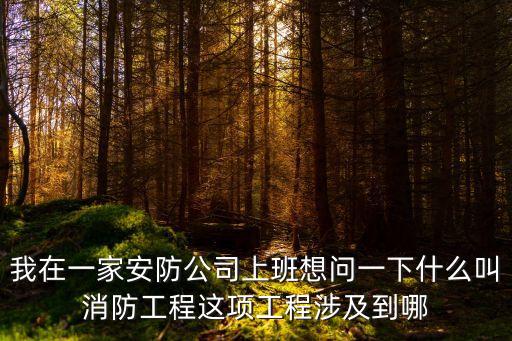 我在一家安防公司上班想問一下什么叫消防工程這項(xiàng)工程涉及到哪