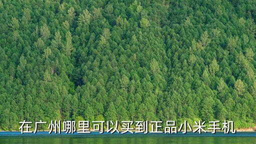 在廣州哪里可以買到正品小米手機