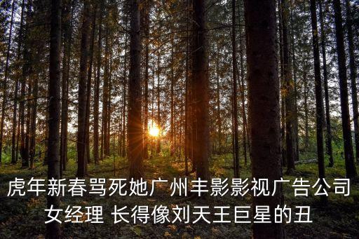 廣州 李素玲，虎年新春罵死她廣州豐影影視廣告公司女經(jīng)理 長得像劉天王巨星的丑