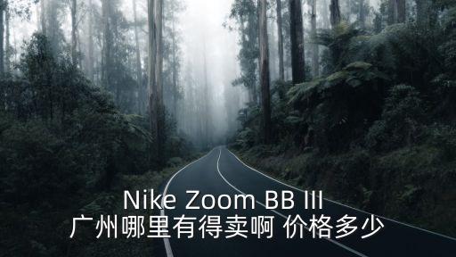 Nike Zoom BB III 廣州哪里有得賣啊 價格多少