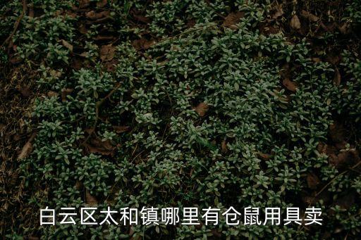 白云區太和鎮哪里有倉鼠用具賣