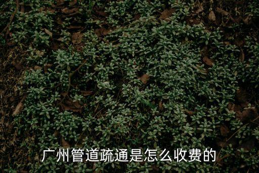 廣州管道疏通是怎么收費的