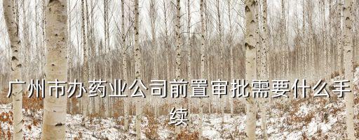廣州市辦藥業公司前置審批需要什么手續