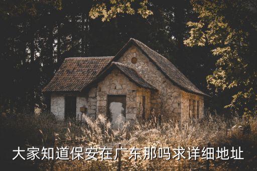 深圳華鵬保安公司在哪，深圳華鵬公司是個什么公司