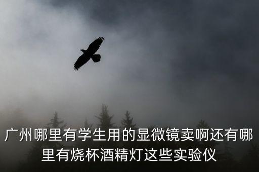 廣州哪里有學生用的顯微鏡賣啊還有哪里有燒杯酒精燈這些實驗儀