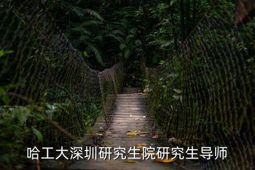 哈工大深圳研究生院研究生導師