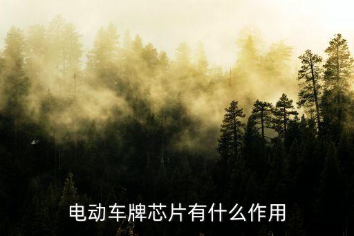 電動車牌芯片有什么作用