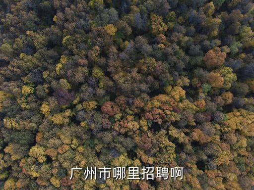 廣州市哪里招聘啊