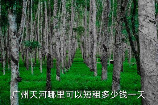 廣州天河東莞莊路租房，廣州 天河 東莞莊路