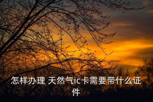 怎樣辦理 天然氣ic卡需要帶什么證件