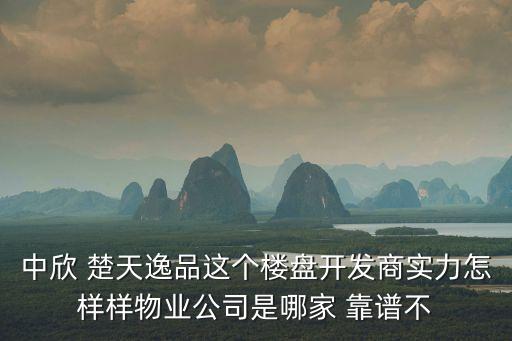 中欣 楚天逸品這個樓盤開發(fā)商實(shí)力怎樣樣物業(yè)公司是哪家 靠譜不