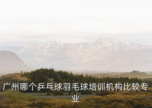 廣州體育館羽毛球培訓(xùn)，廣州羽毛球培訓(xùn)哪里比較好