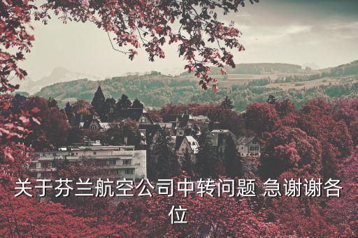 芬蘭航空從美國到廣州，關于芬蘭航空公司中轉問題 急謝謝各位