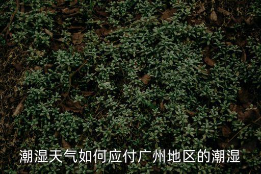 潮濕天氣如何應(yīng)付廣州地區(qū)的潮濕