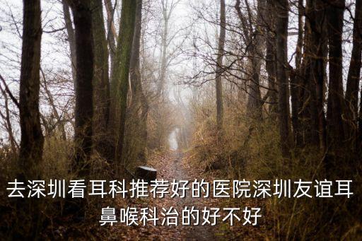 去深圳看耳科推薦好的醫院深圳友誼耳鼻喉科治的好不好