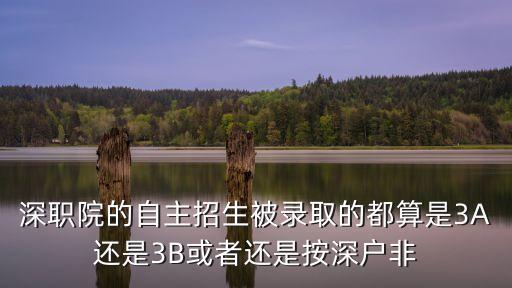 深圳一職自主招生什么標準，深職院的自主招生被錄取的都算是3A還是3B或者還是按深戶非