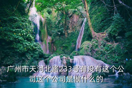 廣州市天河北路233號有沒有這個公司這個公司是做什么的