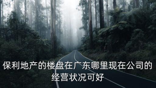 廣州獅嶺保利地產圖片，保利地產的樓盤在廣東哪里現在公司的經營狀況可好