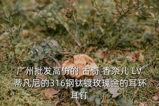 廣州批發(fā)高仿的 古奇 香奈兒 LV 蒂凡尼的316鋼鈦鍍玫瑰金的耳環(huán)耳釘
