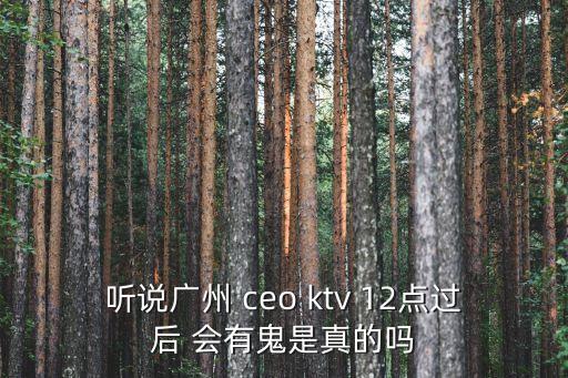 廣州市荔灣區CEOktv，廣州葛newway CEOktv mini房有幾大