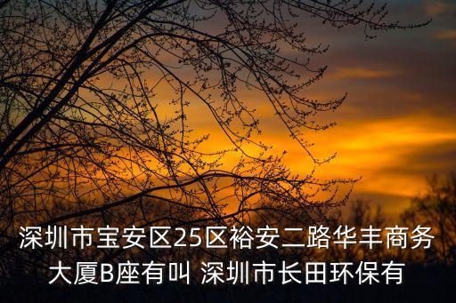 深圳市寶安區25區裕安二路華豐商務大廈B座有叫 深圳市長田環保有