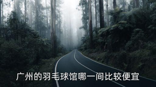 廣州的羽毛球館哪一間比較便宜