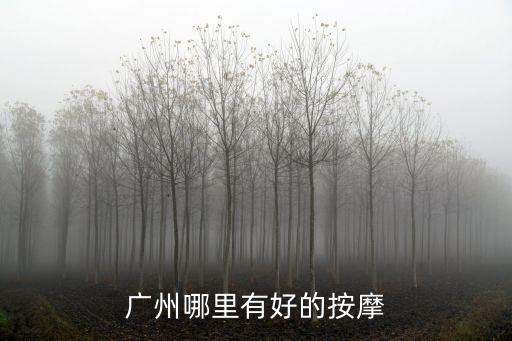 廣州上門正規(guī)按摩，在廣州市海珠區(qū)有哪家比較正規(guī)的按摩沐足中心