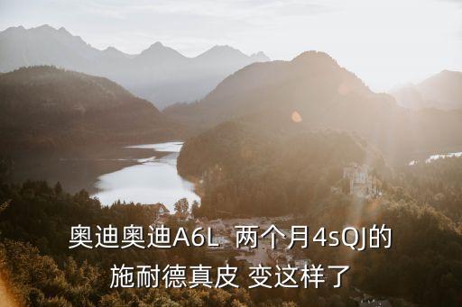 廣州施耐德真皮，廣州產施耐德是不是正宗廠家