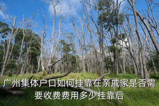廣州社區集體戶口費用，廣州集體戶口如何掛靠在親戚家是否需要收費費用多少掛靠后