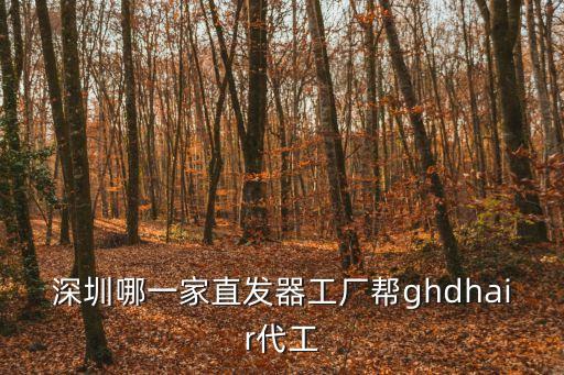 深圳哪一家直發器工廠幫ghdhair代工
