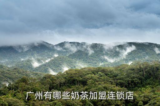 廣州市奶茶加盟店，廣州有哪些奶茶加盟連鎖店