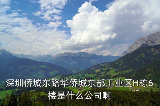 深圳市雅麗特商貿有限公司，深圳僑城東路華僑城東部工業區H棟6樓是什么公司啊