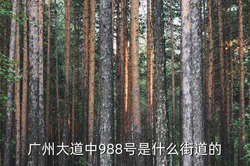 廣州市廣州大道中988號，廣州大道中988號是什么街道的