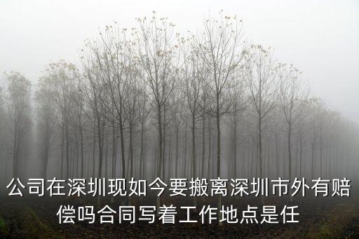 深圳工視在現直撞，深圳市的泥土車今年撞死了幾個人
