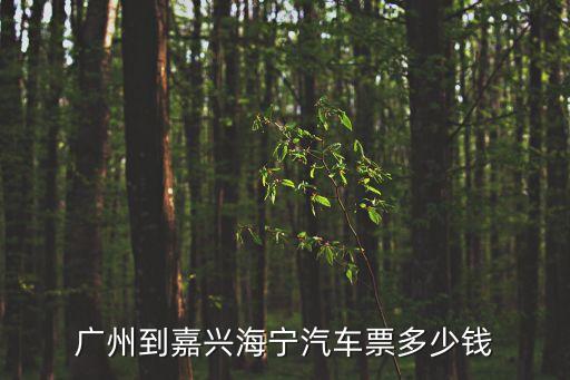 廣州到海寧多少錢，廣州到嘉興海寧汽車票多少錢